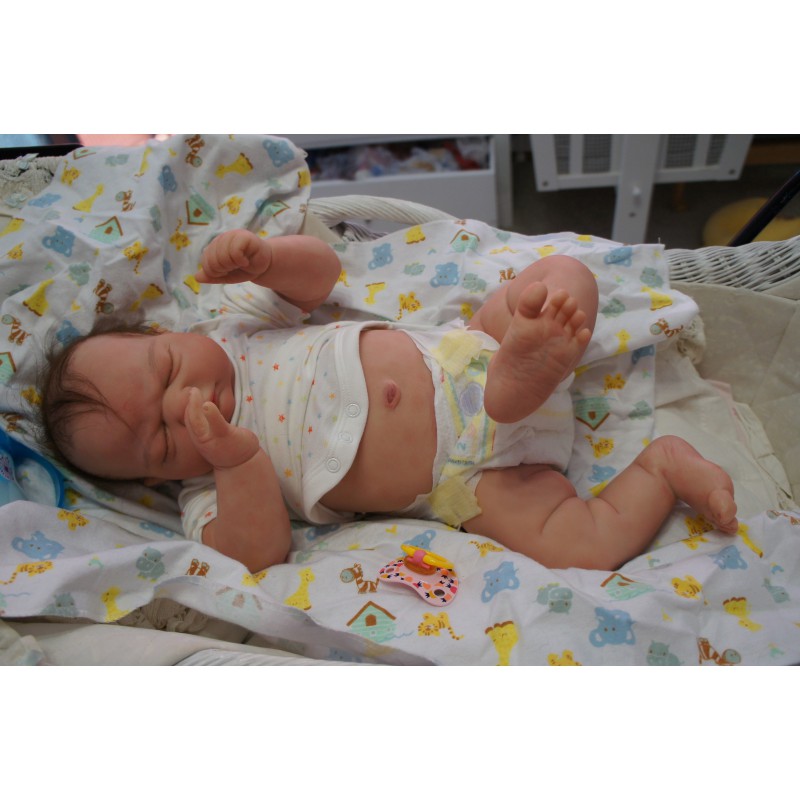 Kai *Inkl. Bauchplatte*