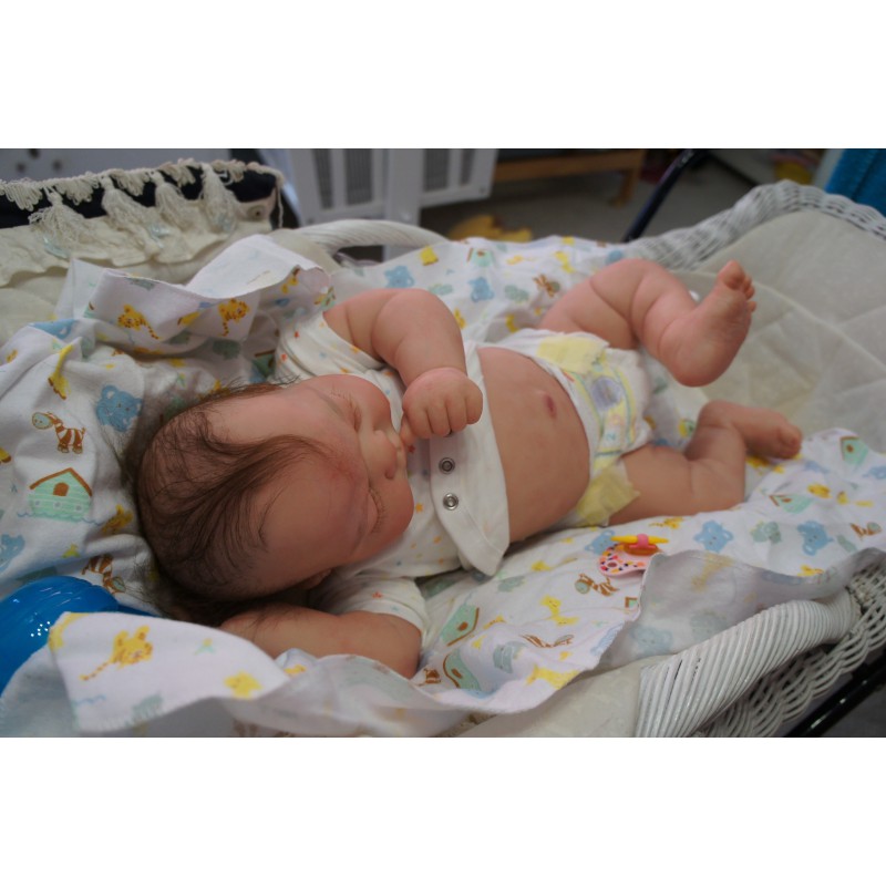 Kai *Inkl. Bauchplatte*