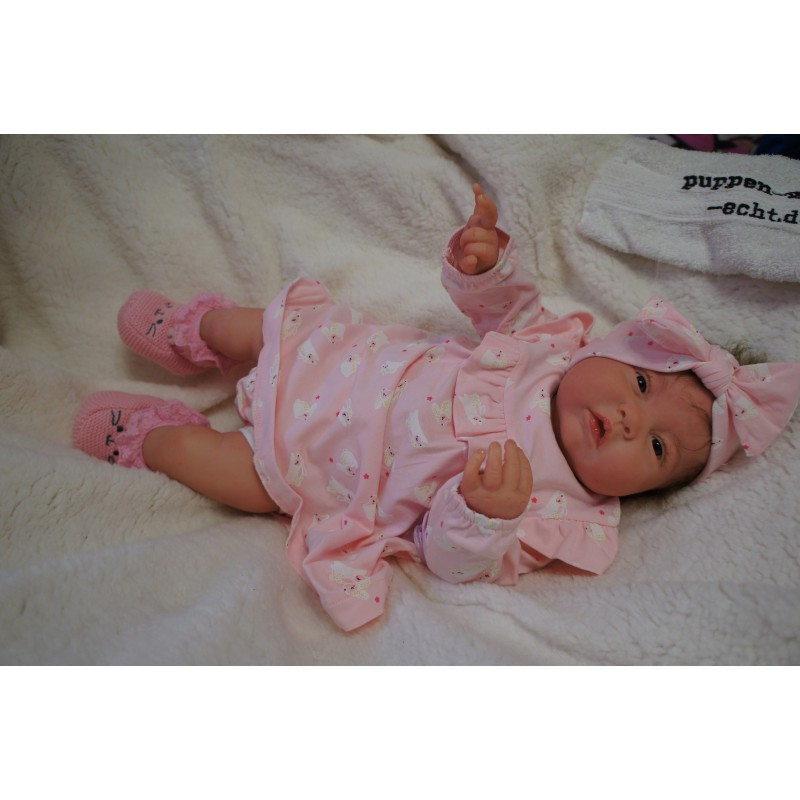 Reine *Inkl. Bauchplatte*