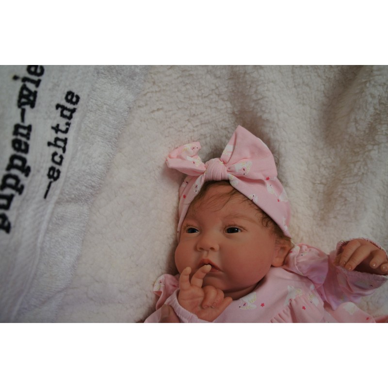 Reine *Inkl. Bauchplatte*