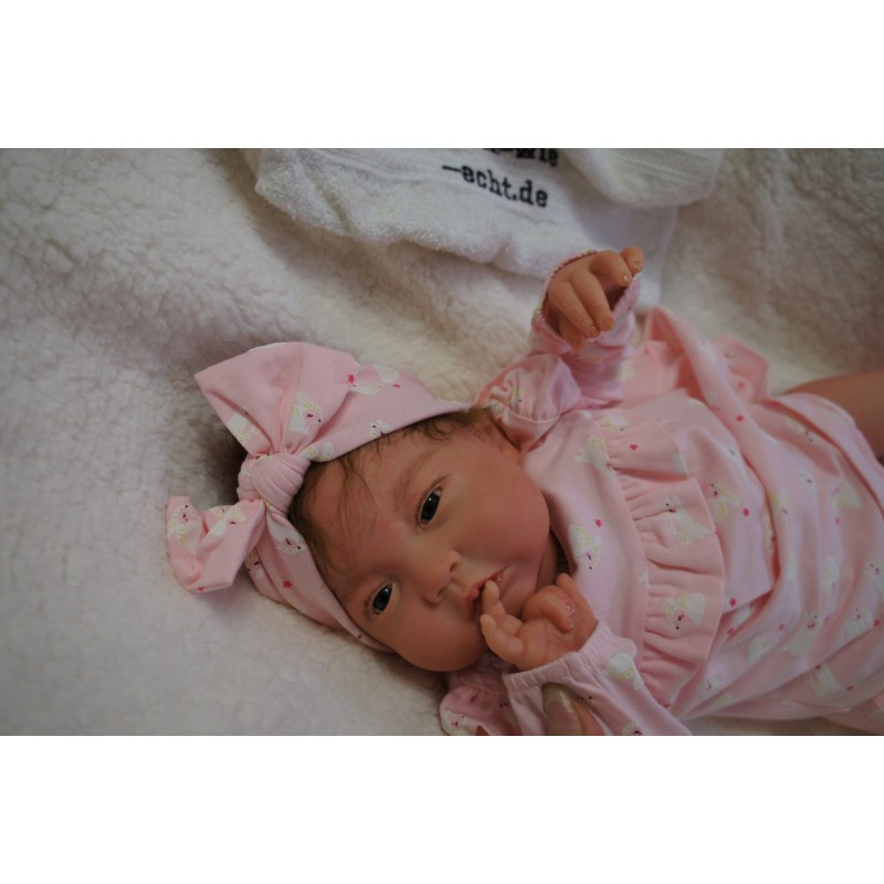 Reine *Inkl. Bauchplatte*