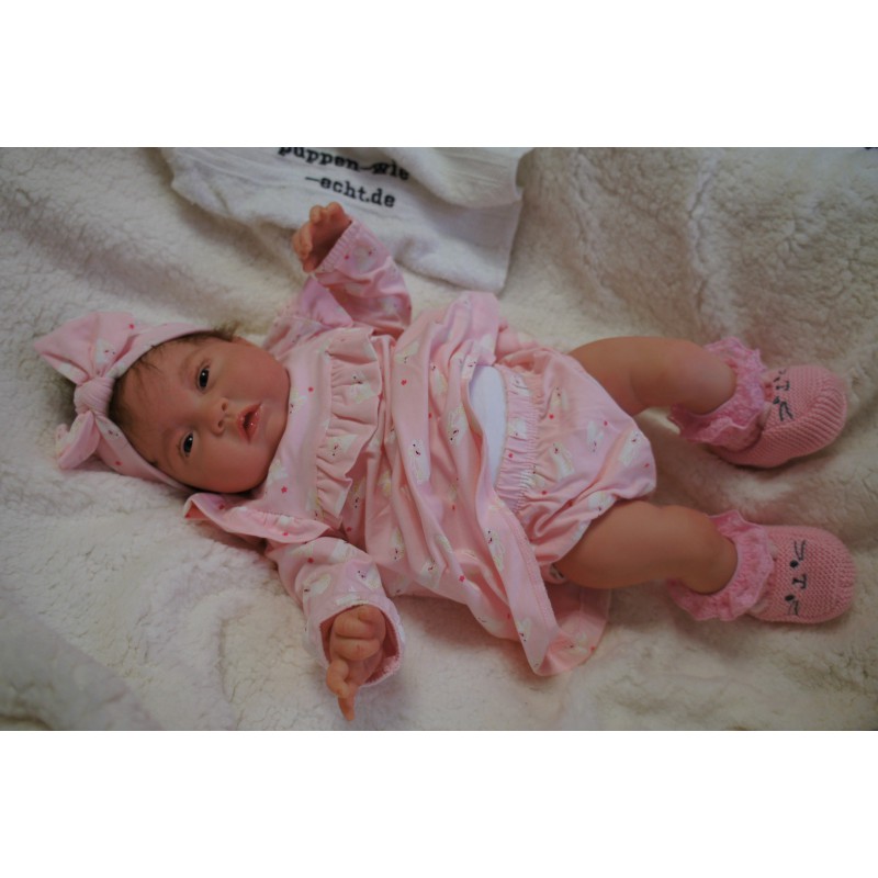 Reine *Inkl. Bauchplatte*