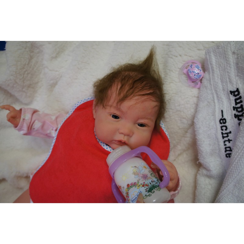 Reine *Inkl. Bauchplatte*