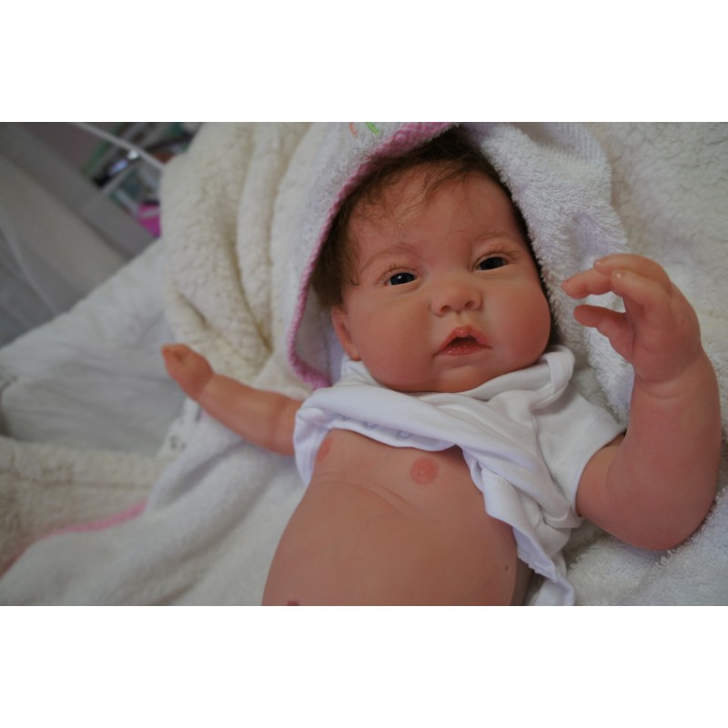 Reine *Inkl. Bauchplatte*