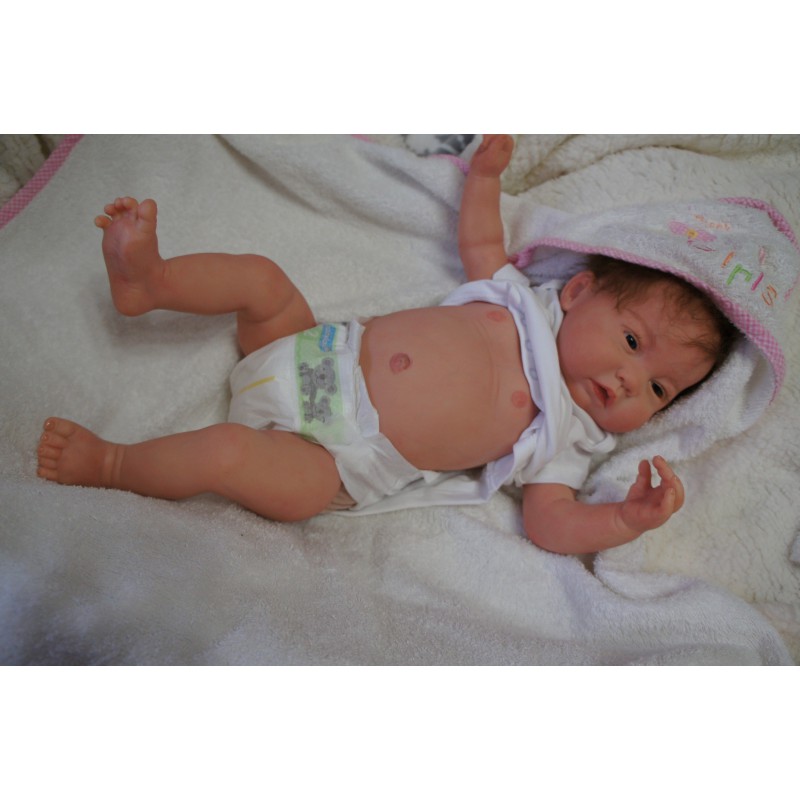 Reine *Inkl. Bauchplatte*