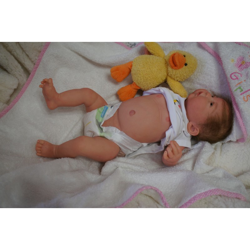 Reine *Inkl. Bauchplatte*