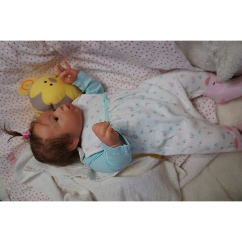 Gannett *Einzelstück*