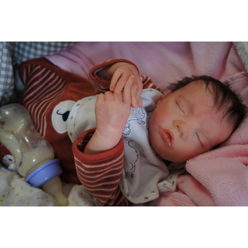 Twin B inkl. Bauchplatte