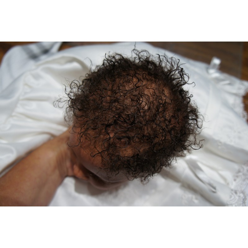 Dominic Rafael *Inkl. Volltorso*