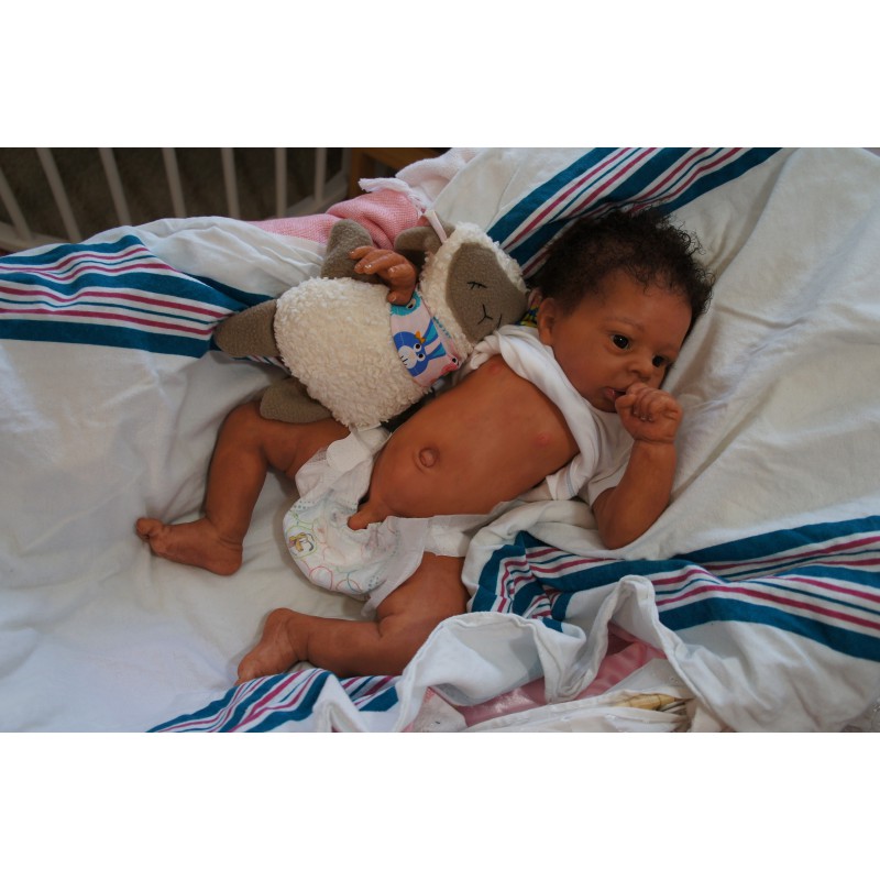 Dominic Rafael *Inkl. Volltorso*