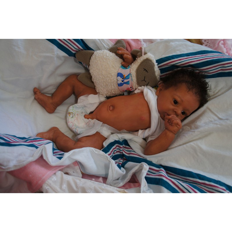 Dominic Rafael *Inkl. Volltorso*