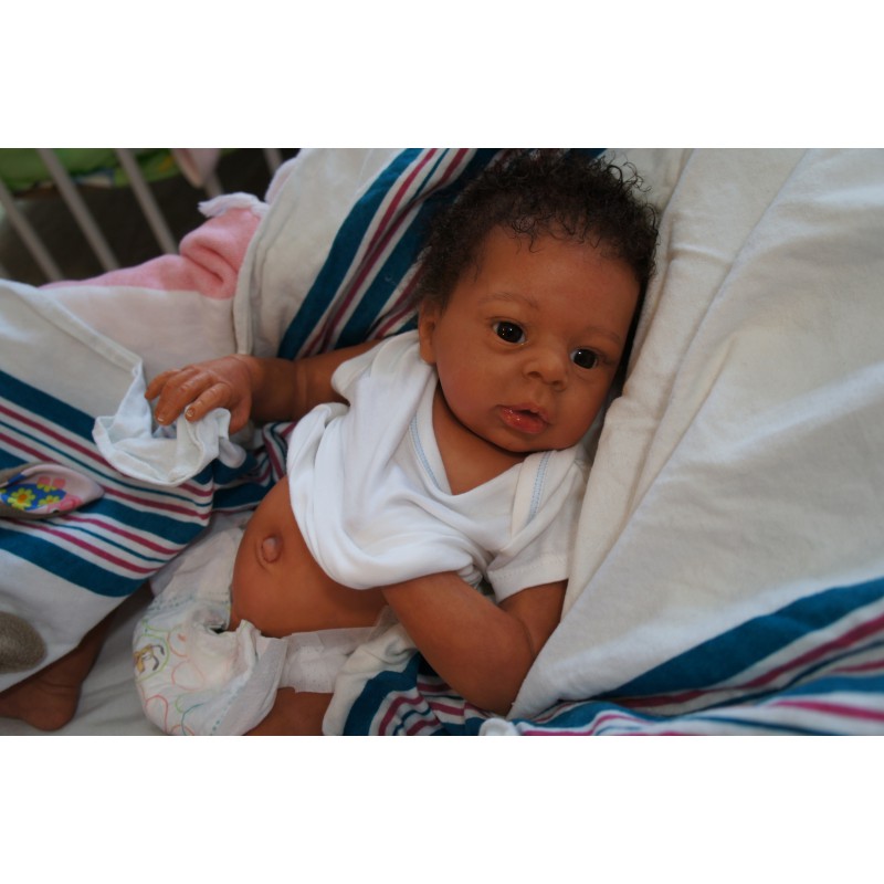 Dominic Rafael *Inkl. Volltorso*