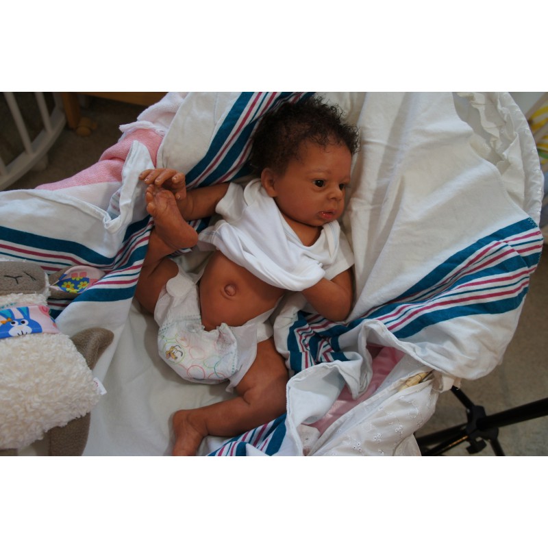 Dominic Rafael *Inkl. Volltorso*