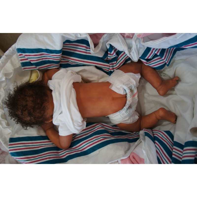 Dominic Rafael *Inkl. Volltorso*