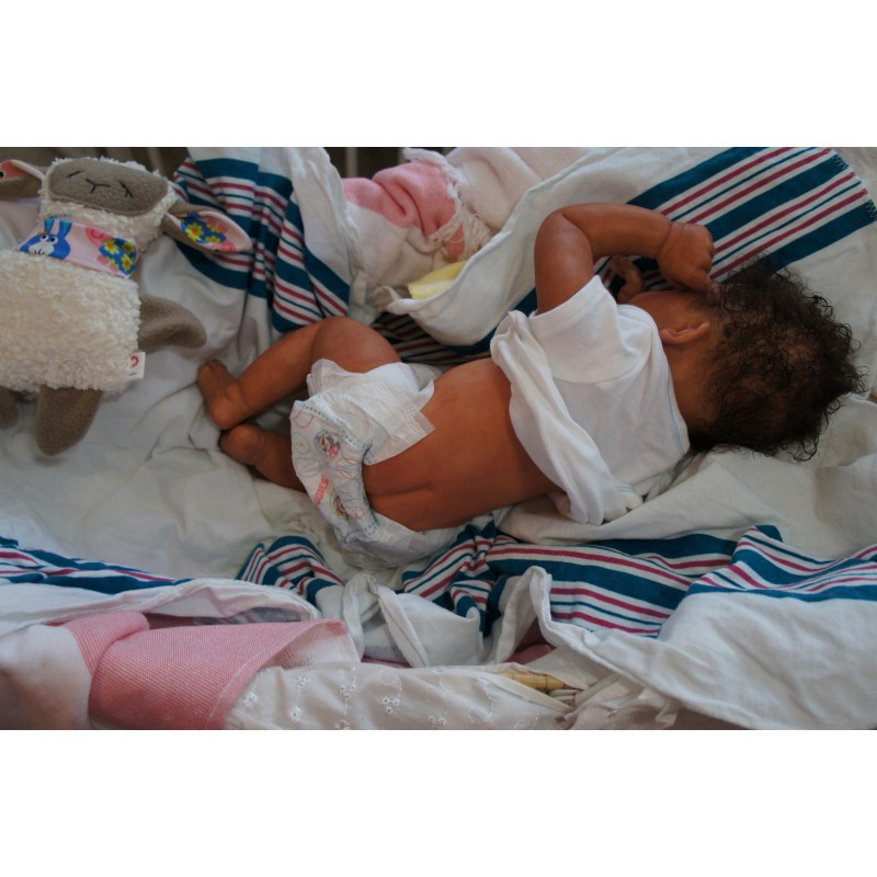 Dominic Rafael *Inkl. Volltorso*