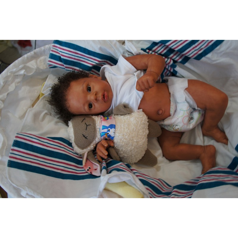 Dominic Rafael *Inkl. Volltorso*