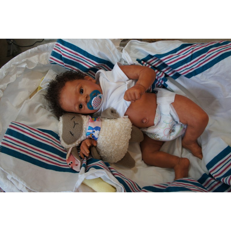 Dominic Rafael *Inkl. Volltorso*