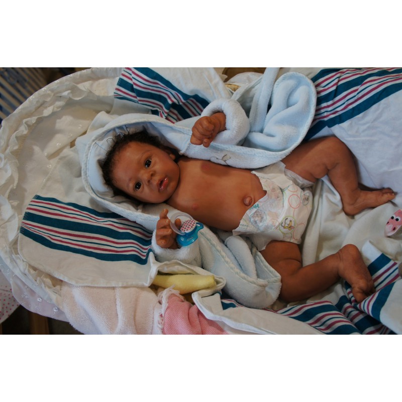 Dominic Rafael *Inkl. Volltorso*