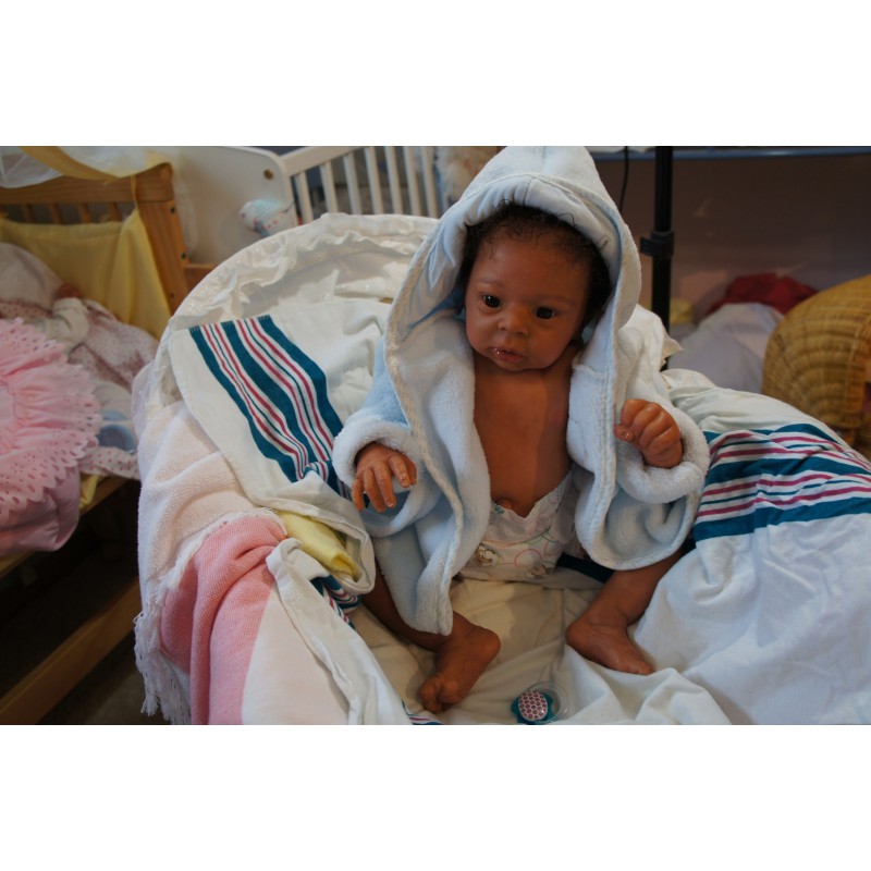 Dominic Rafael *Inkl. Volltorso*