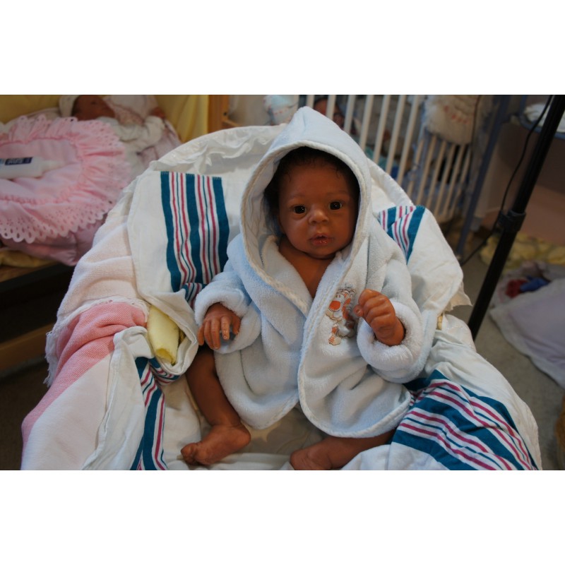 Dominic Rafael *Inkl. Volltorso*