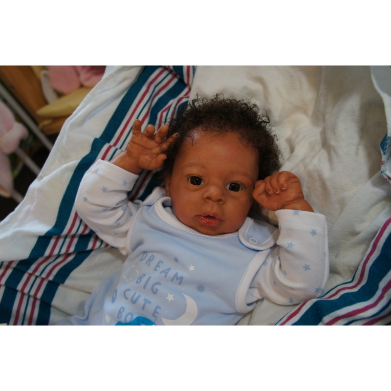 Dominic Rafael *Inkl. Volltorso*