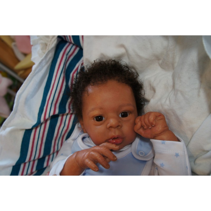 Dominic Rafael *Inkl. Volltorso*