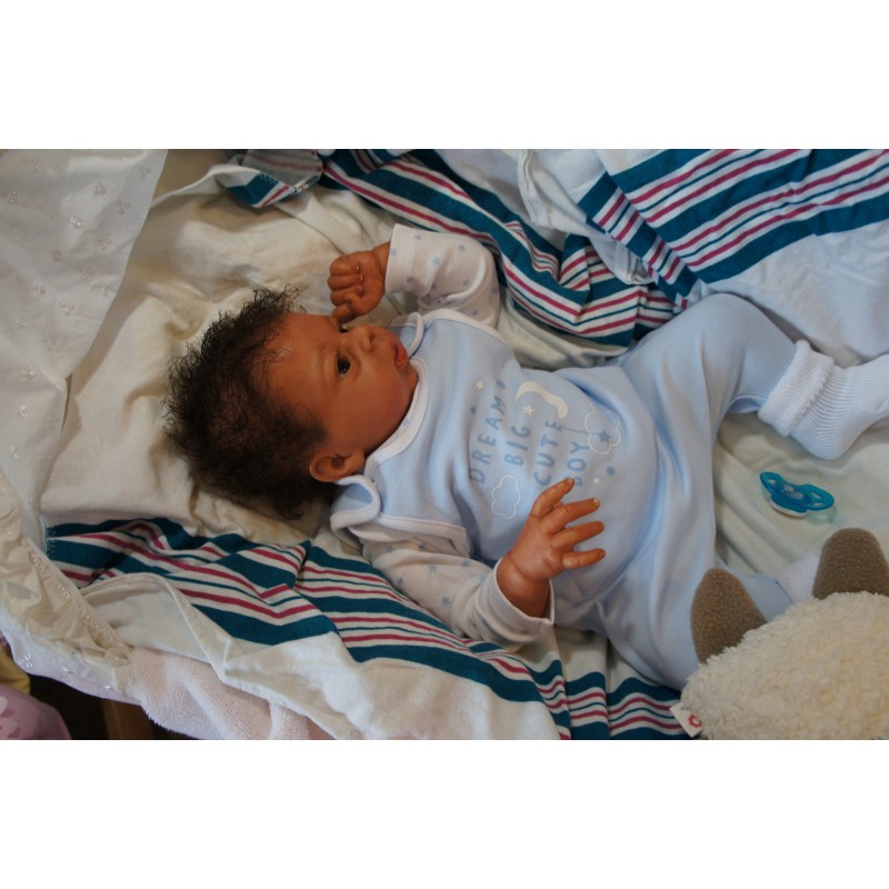 Dominic Rafael *Inkl. Volltorso*