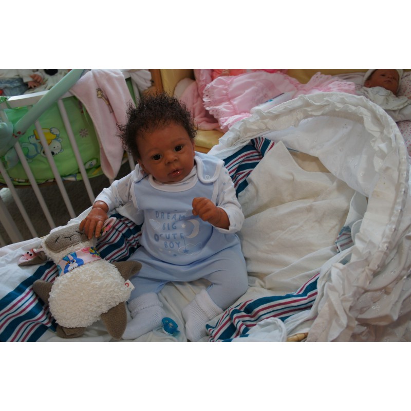 Dominic Rafael *Inkl. Volltorso*