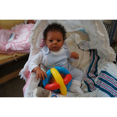 Dominic Rafael *Inkl. Volltorso*