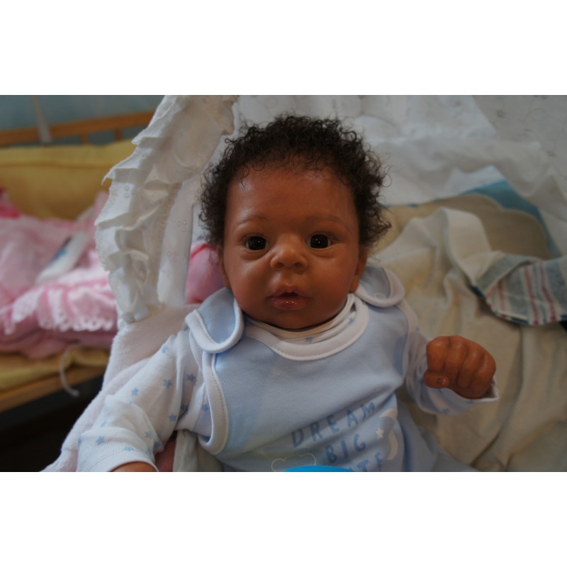 Dominic Rafael *Inkl. Volltorso*