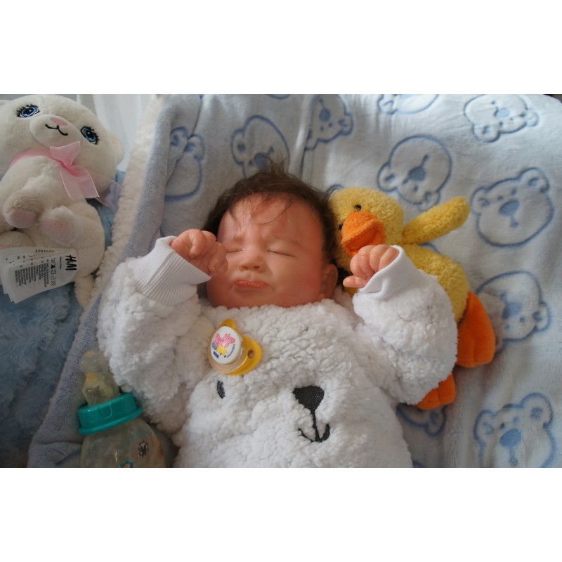 Grumpy Sage *Mürrisches 4...