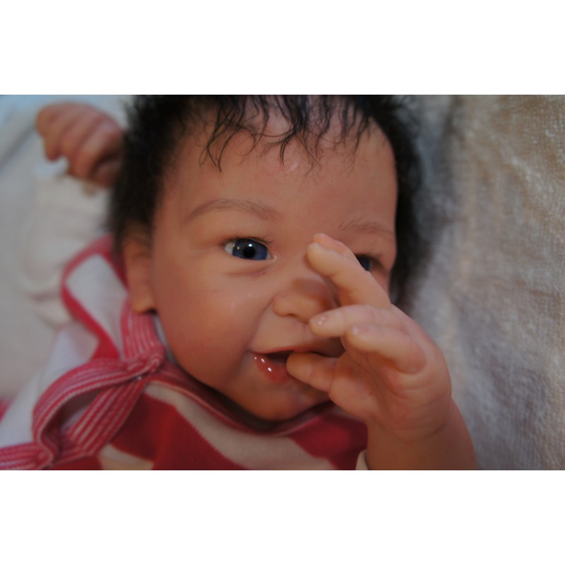 Phoenix *Einzelstück*