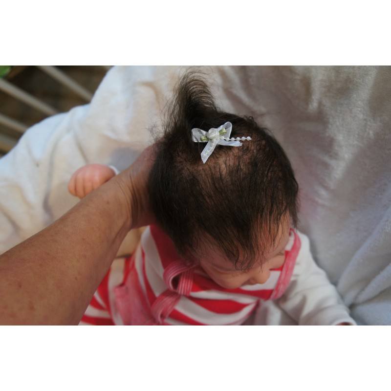 Phoenix *Einzelstück*