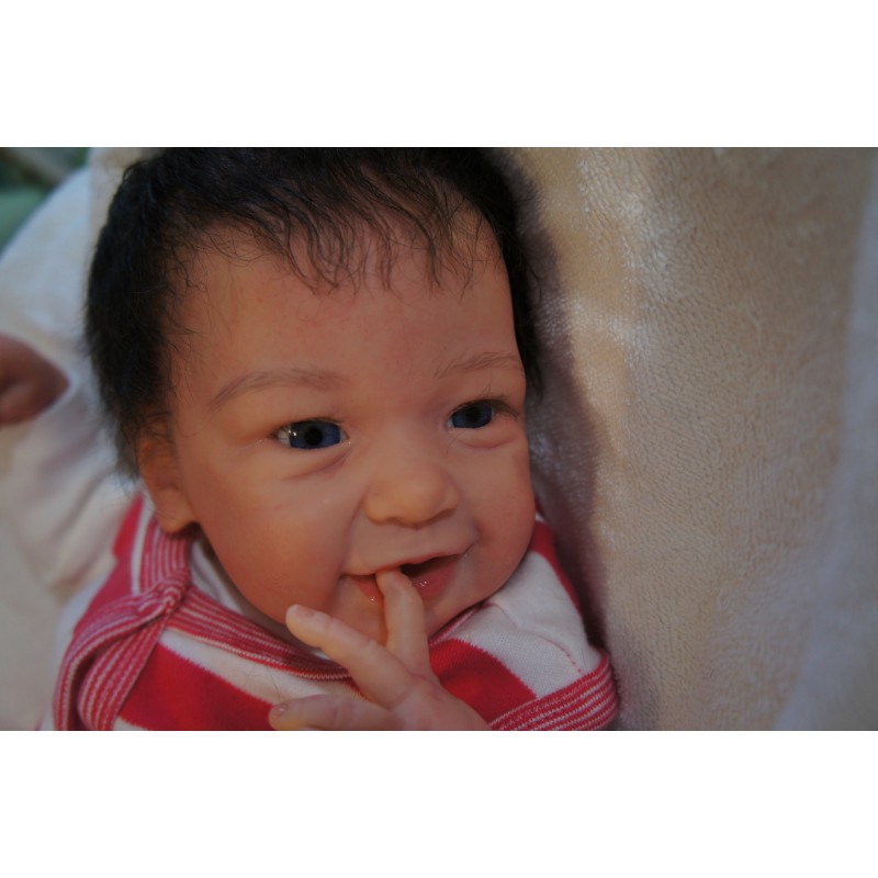 Phoenix *Einzelstück*