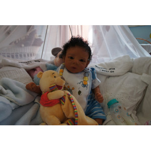 Zuri - Inkl. Bauchplatte