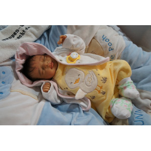 Juni Rose *Inkl. Bauchplatte*