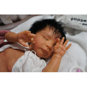 Venice *Inkl. Bauchplatte*