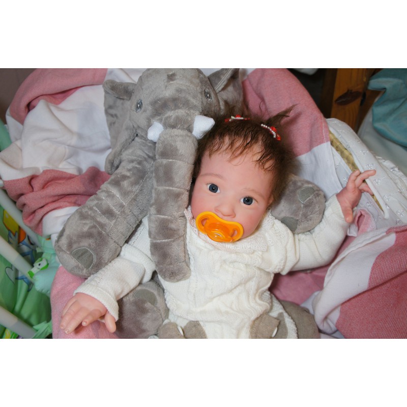 Franzi *Einzelstück*