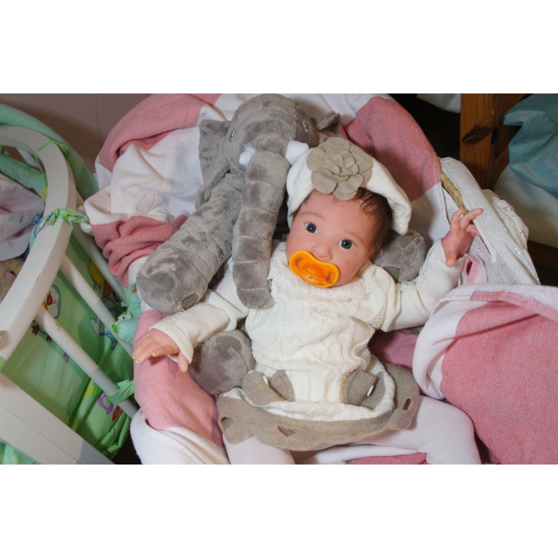 Franzi *Einzelstück*